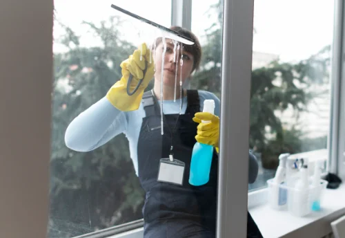 Nettoyage de vitres intérieures et extérieures à Saint-Germain-de-Salles